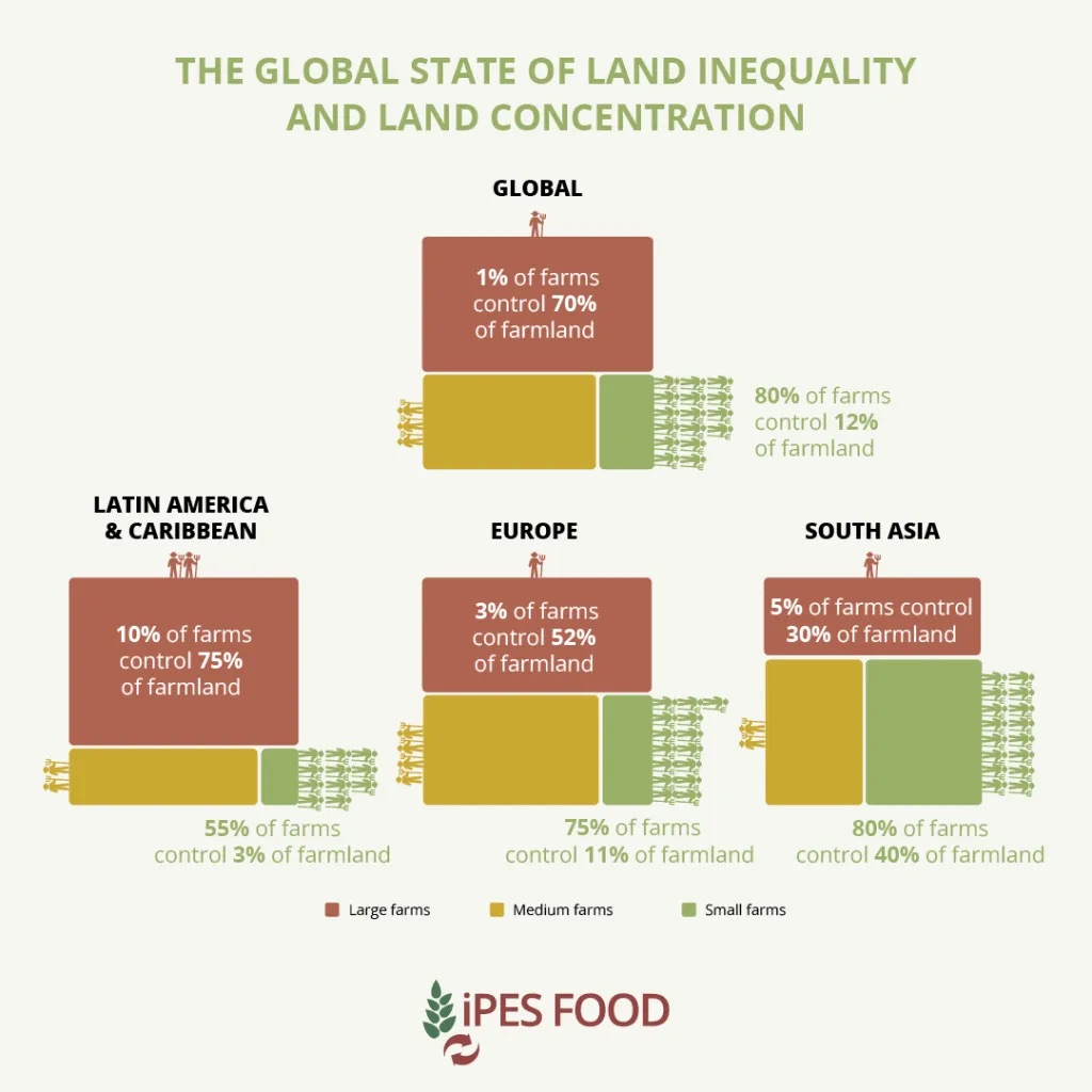 land grab report