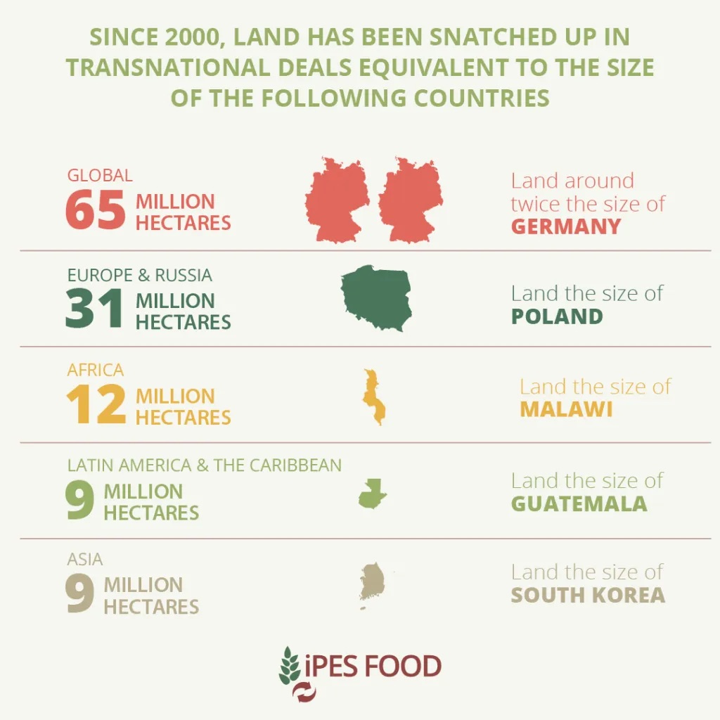 ipes food land squeeze