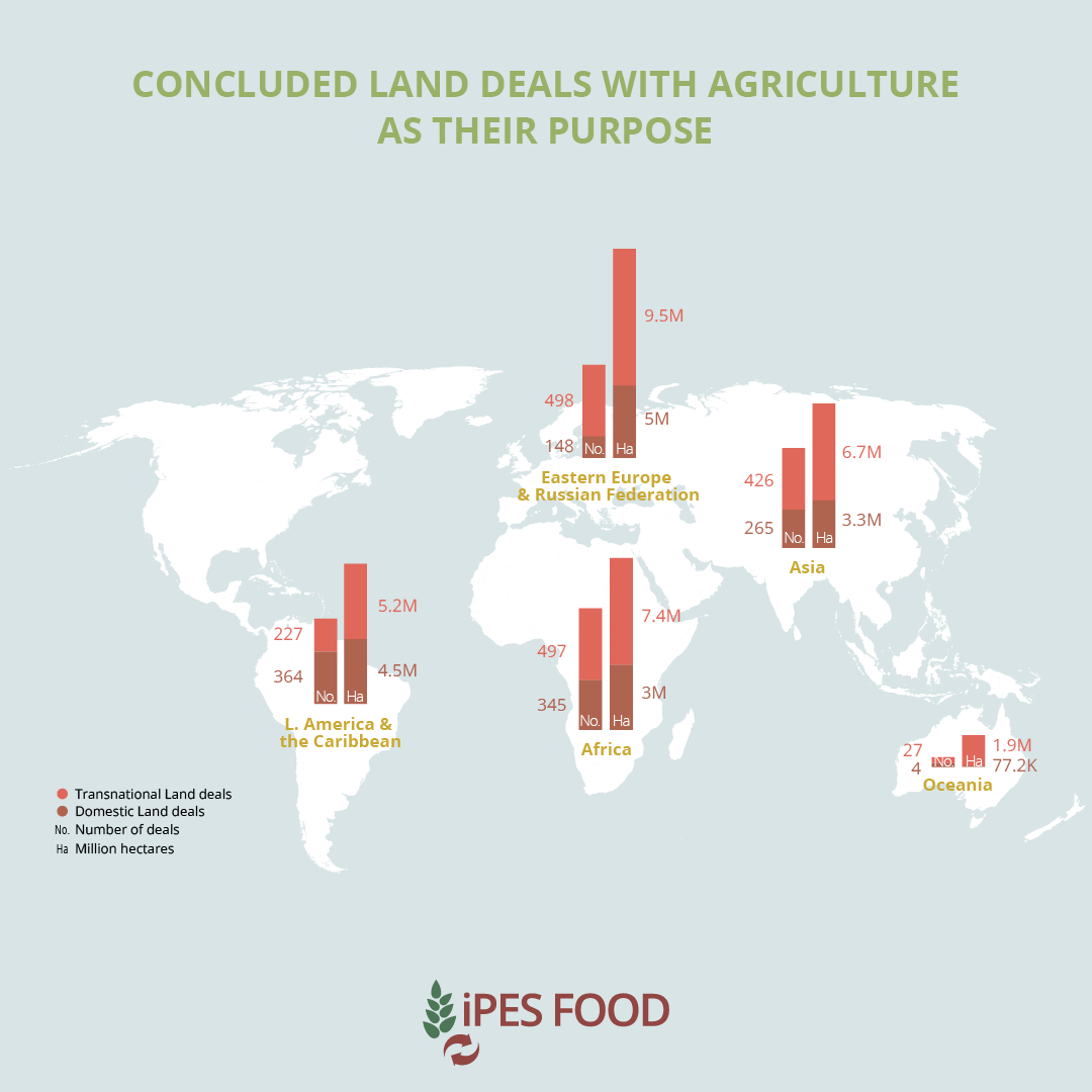 ipes report